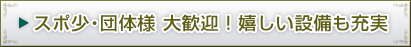 �c�̗l���